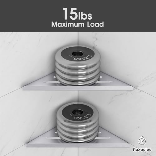 AUSAULAC 2-Pack Silver Shower Corner Shelf