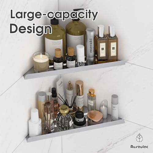 AUSAULAC 2-Pack Silver Shower Corner Shelf