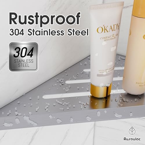 AUSAULAC 2-Pack Silver Shower Corner Shelf