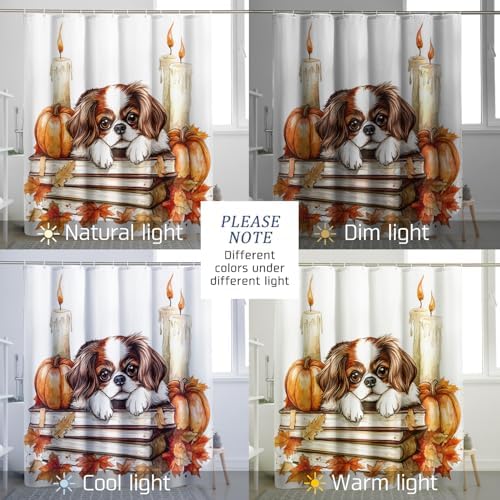 DESIHOM Fall Japanese Chin Dog Shower Curtain Set 72 Inch