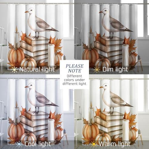 DESIHOM Fall Seagull Bird Shower Curtain Set - 62 Inch