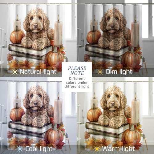 DESIHOM Fall Golden Doodle Shower Curtain Set 62 Inch