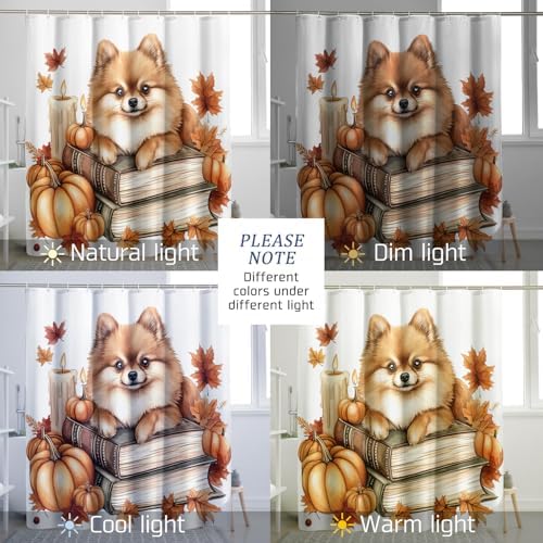 DESIHOM Fall Pomeranian Dog Shower Curtain Set 62 Inch