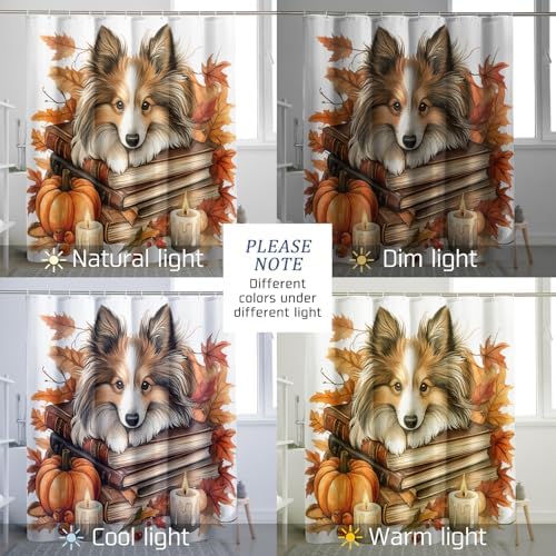 DESIHOM Fall Shetland Sheepdog Shower Curtain Set 72 Inches