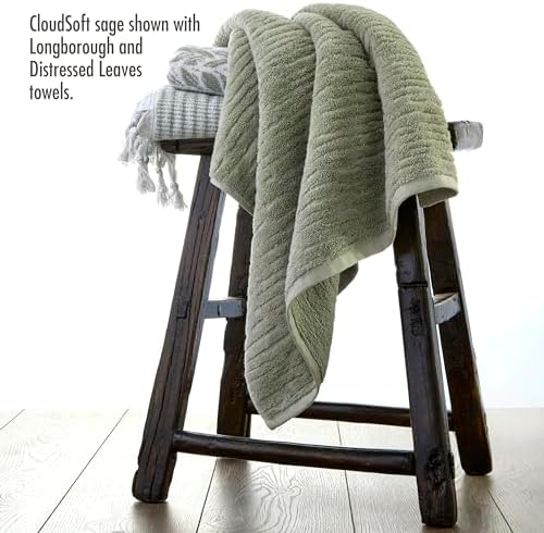 SKL Home CloudSoft Cotton Washcloth Set Sage 4-Piece