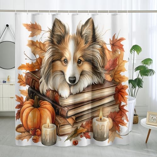DESIHOM Fall Shetland Sheepdog Shower Curtain Set 72 Inches